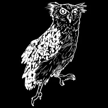 Vector handpicked hand-drawn ilustration with Owl Illustrazione stock