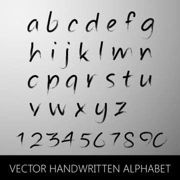 Vector handwritten alphabet. calligraphic brushed letters and nu Stock Illustration