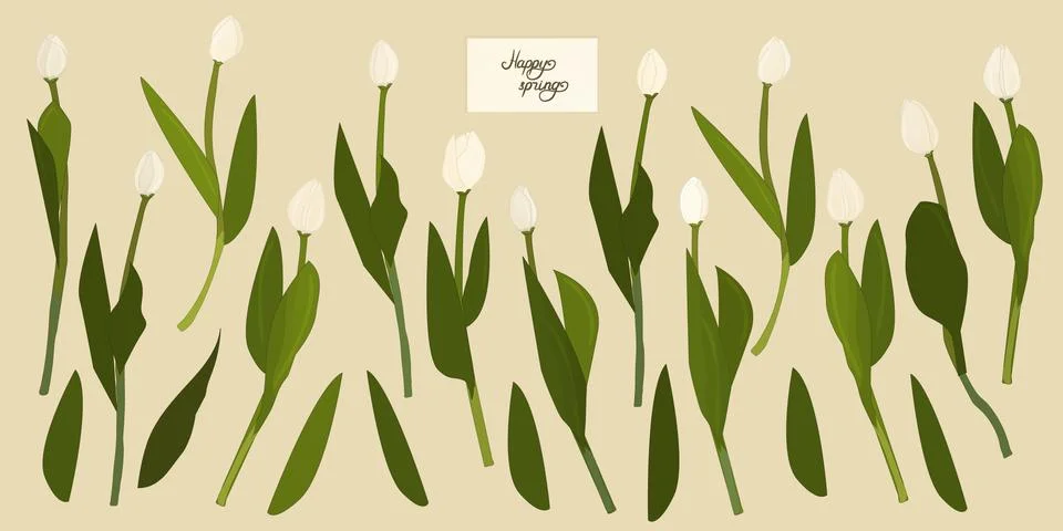 Vector Happy Spring lettering text on the card. Isolated separated white outl Stock Illustration