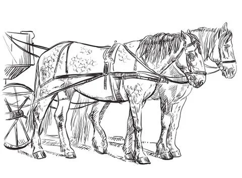 Vector harness horses Stock Illustration