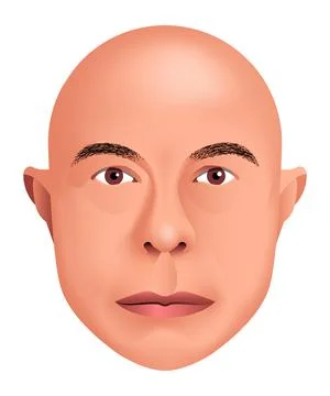 Vector head in gradient style Stock Illustration