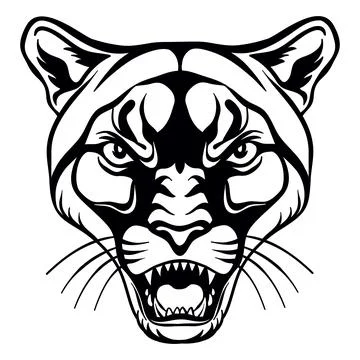 Vector head of mascot cougar isolated on white Stock Illustration