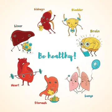 Vector healthy human organs Stock Illustration