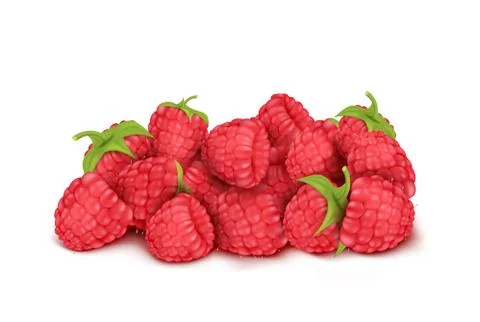 Vector heap of ripe raspberry, summer berry fruit Stock Illustration