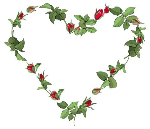 Vector heart frame of red roses flowers isolated on a white background. Stock Illustration