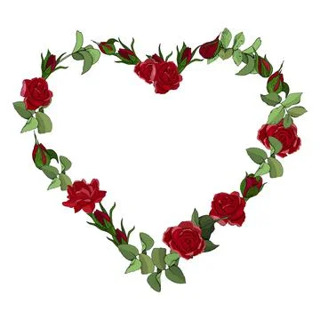 Vector heart frame of red roses flowers isolated on a white background. Stock-Illustration