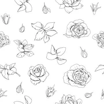 Vector heart frame of red roses flowers isolated on a white background. Stock Illustration