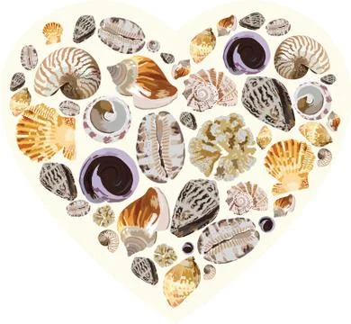 Vector heart shape collection of shells from the Maldives Stock Illustration