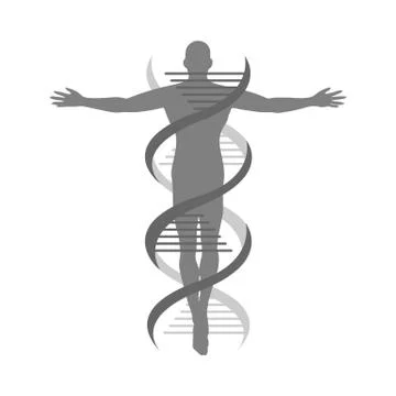 Vector helix strand DNA human logo icon isolated on white background Stock Illustration