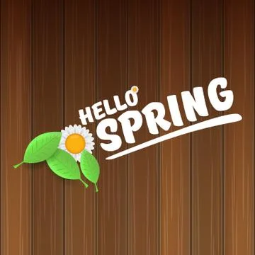 Vector hello spring banner with text and flowers. hello spring slogan or label Stock Illustration