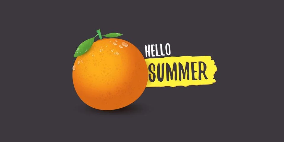 Vector Hello Summer horizontal banner or flyer Design template with fresh orange Stock Illustration