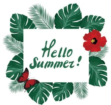 Vector hello summer Stock Illustration