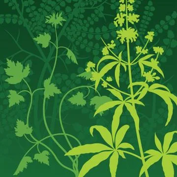 Vector Herb Background Stock Illustration