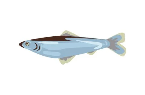 Vector herring isolated Stock Illustration