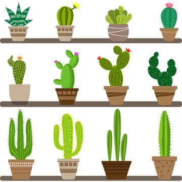 Vector home cactus icons Stock Illustration