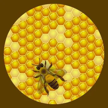 Vector honey round label design. Honeycombs texture background. Stock Illustration