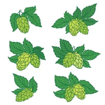 Vector Hops Icons Stock Illustration