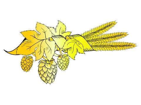 Vector hops Stock Illustration