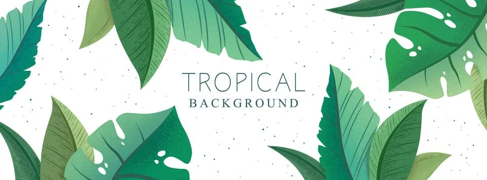 Vector horizontal botanical background with green trendy exotic palm and mo.. Stock Illustration