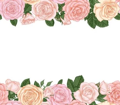 Vector horizontal seamless background with pink roses, buds and leaves. des.. 스톡 일러스트
