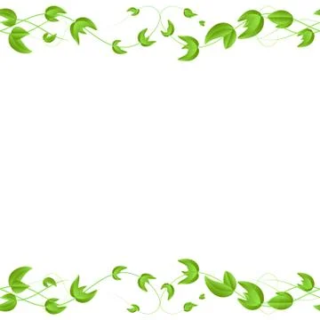 Vector horizontal seamless border with green ivy leaves on white background. Stock-Illustration