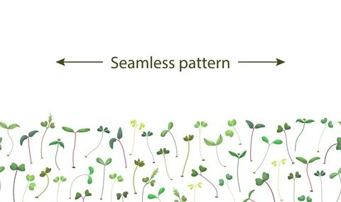 Vector horizontal seamless pattern with microgreens. Healthy young seedlings. Stock-Illustration