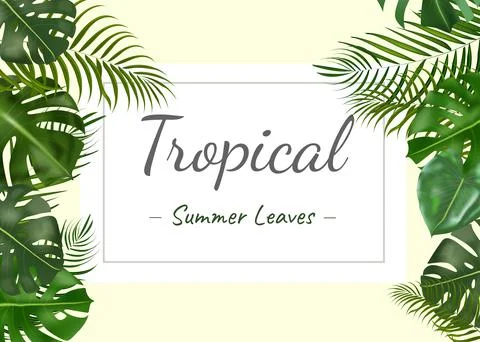 Vector horizontal tropical summer leaves banners on white background. Stock Illustration