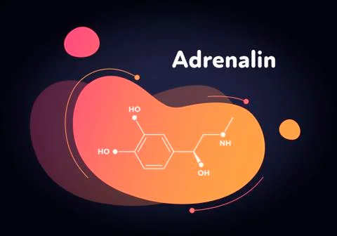 Vector hormones fluid modern banner. Adrenaline structure Stock Illustration