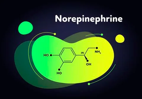 Vector hormones fluid moedrn banner. Norepinephrine structure Illustrazione stock