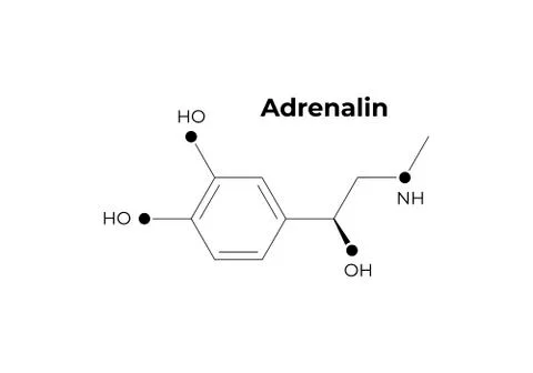Vector hormones minimalistic banner template. Adrenalin structure Stock Illustration