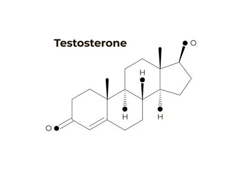 Vector hormones minimalistic banner template. Testosterone structure Stock Illustration