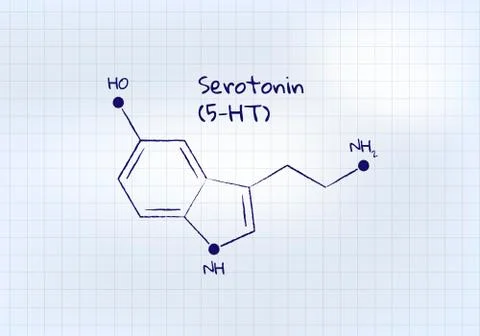 Vector hormones study banner template. Pen drawn seratonin (5-HT) structure Illustrazione stock