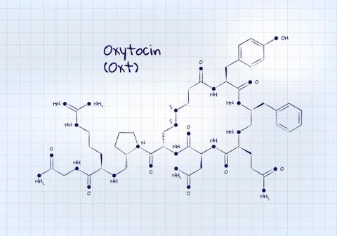 Vector hormones study banner template. Pen drawn oxytocin structure Stock Illustration