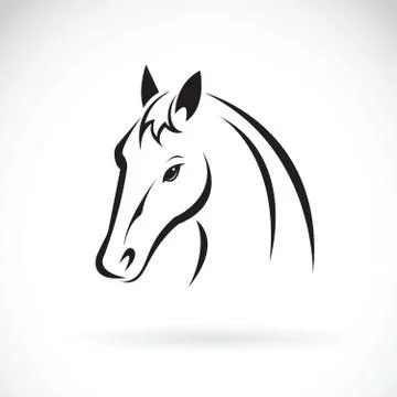 Vector of a horse head on white background. Wild Animal Stock Illustration