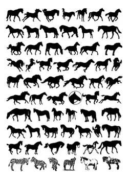 Vector horse silhouettes Stock Illustration