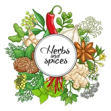 Vector hot round design with spices and herbs 스톡 일러스트