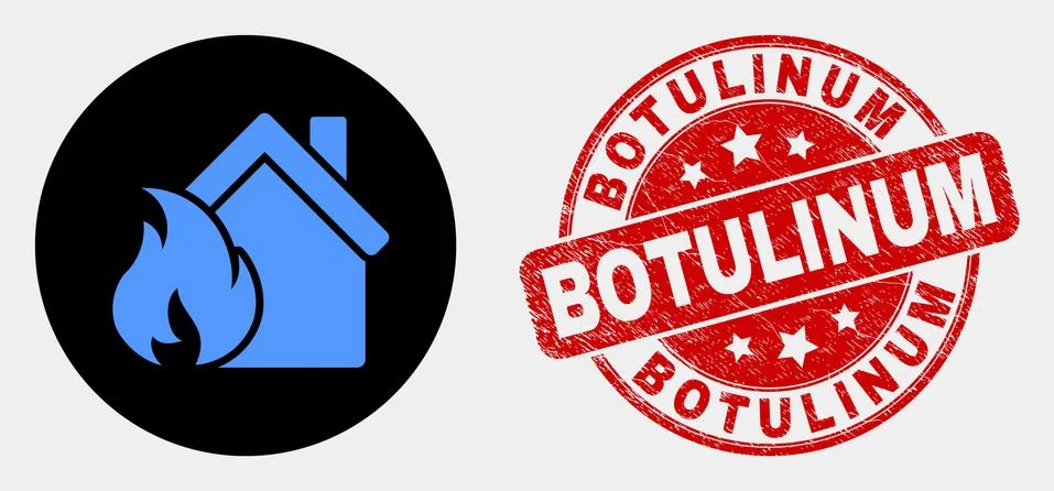 Vector House Fire Damage Icon and Grunge Botulinum Watermark Illustrazione stock