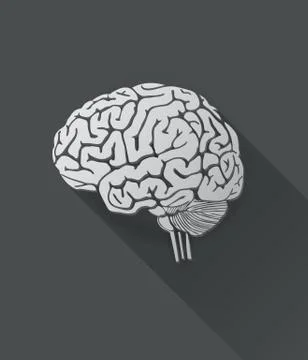 Vector of human brain icon. Stock Illustration