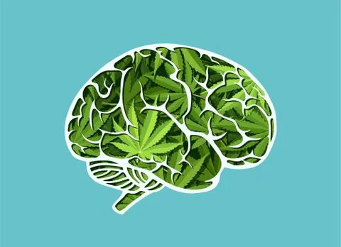 Vector of a human brain made of marijuana leaves Stock Illustration