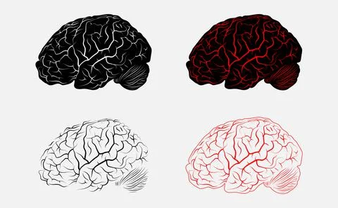 Vector human brain set. Anatomy and science, medicine and head, intelligence Stock Illustration