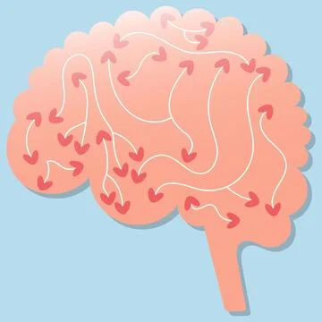 Vector Human Brain who falls in love Human Nervous System Heart Neuropsycholo Stock Illustration