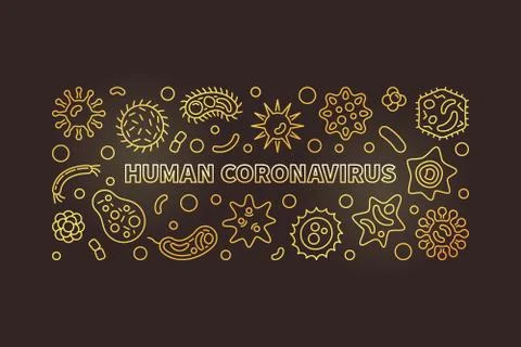 Vector Human Coronavirus concept thin line golden banner Stock Illustration