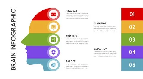 Vector human head and other elements for infographics Illustrazione stock