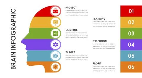 Vector human head and other elements for infographics Stock Illustration