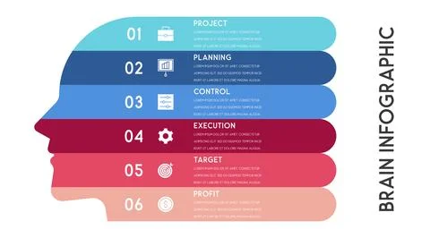 Vector human head and other elements for infographics 스톡 일러스트