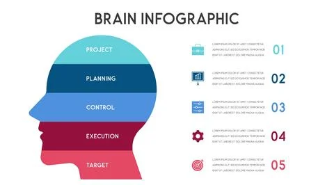 Vector human head and other elements for infographics Stock Illustration