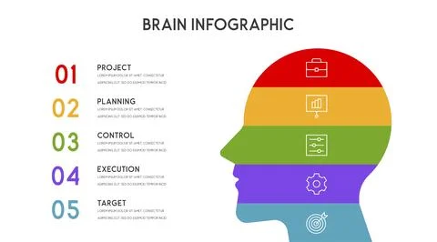 Vector human head and other elements for infographics Stock Illustration