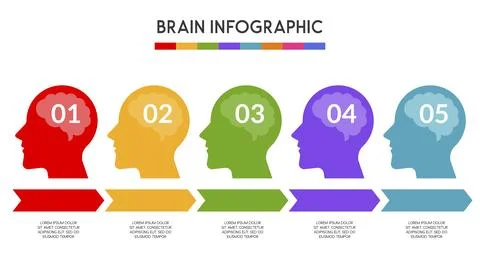 Vector human head and other elements for infographics Stockillustratie