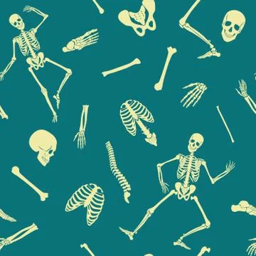 Vector Human skeleton seamless pattern with various single bones and skulls. Stock Illustration