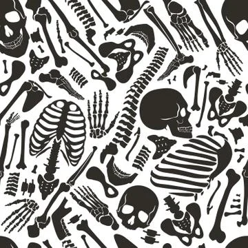 Vector human skeleton seamless pattern with skulls and other various single Stock Illustration